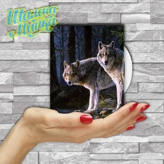  Animals 042 Волки 02